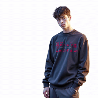 Свитшот Asian Spirit